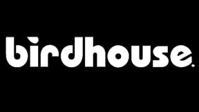 Birdhouse Skateboards | Underground Skate Shop