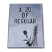 "A 20 of Regular" - DVD Front