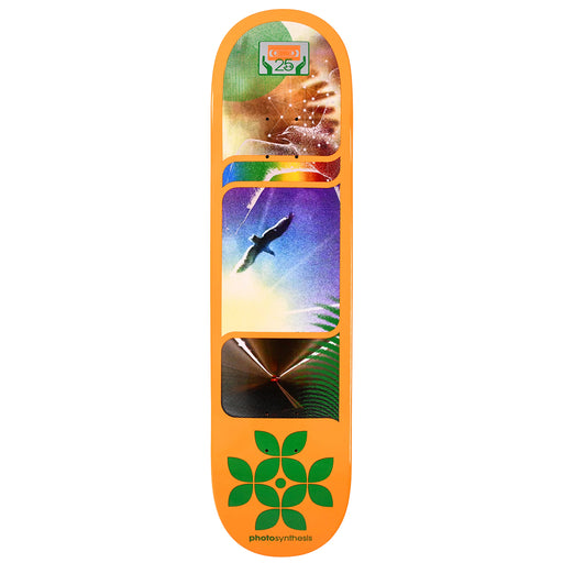 Alien Workshop Deck - Photosynthesis 8"