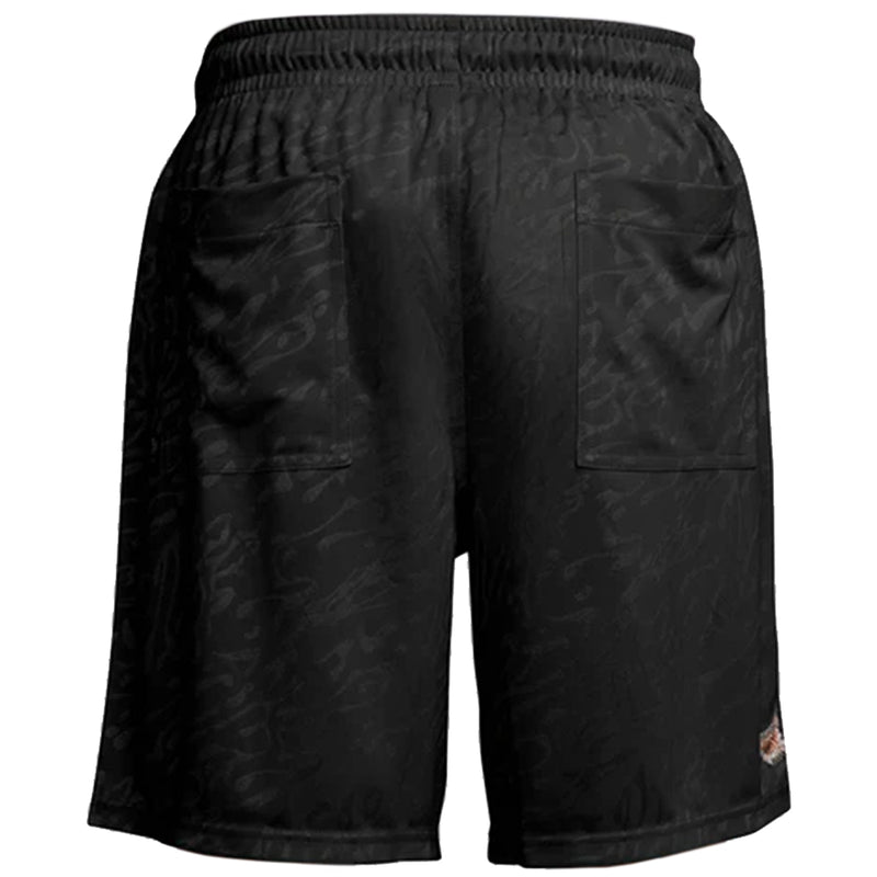Nike SB Jacq Sport Shorts - Black #HJ2967-010 Back
